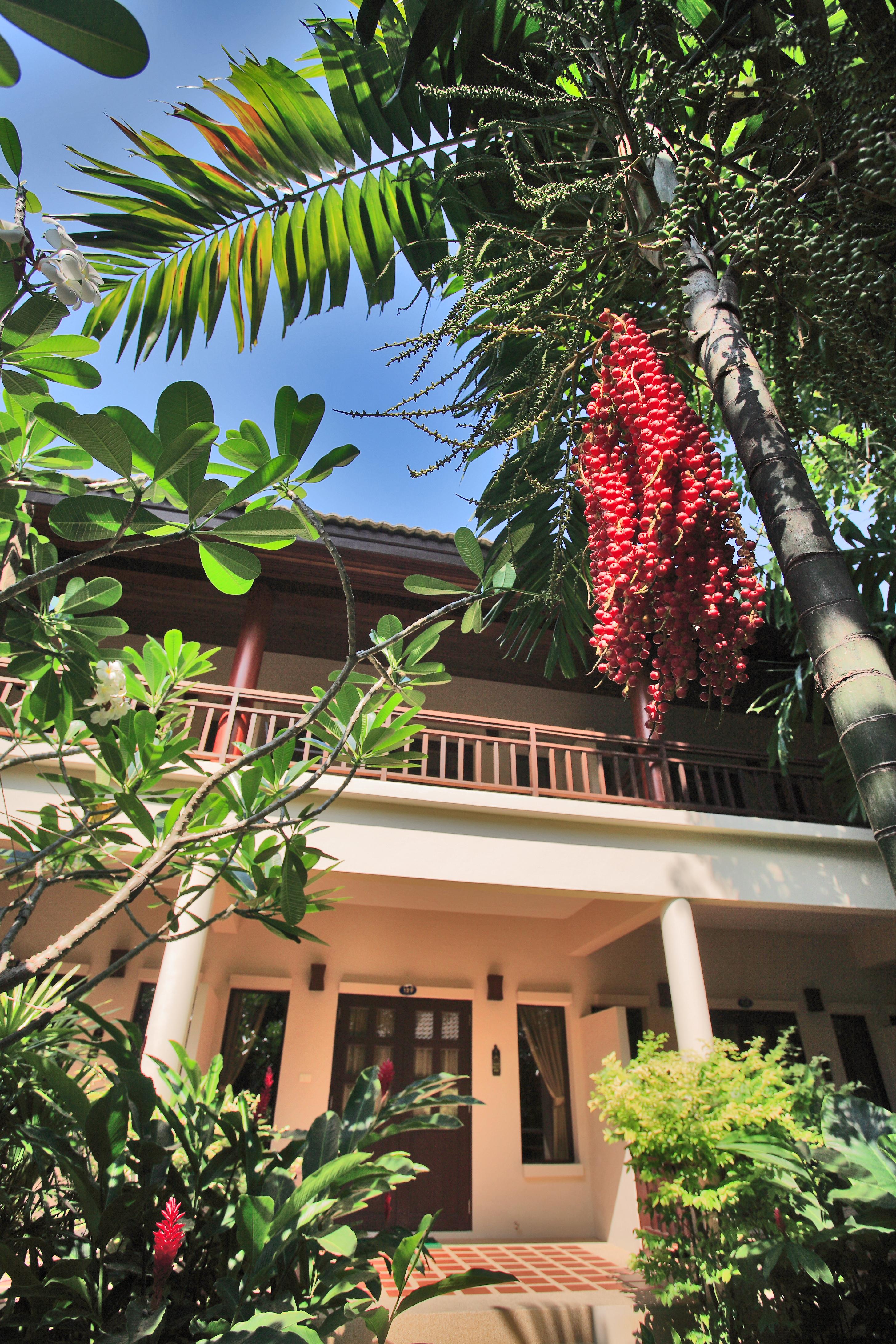 Baan Resort&spa - Sha Extra Strand von Chaweng